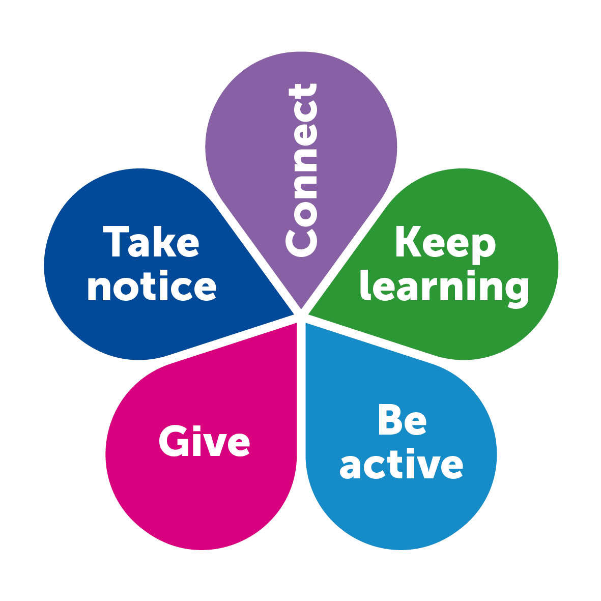 5 pillars of wellbeing image - connect, keep learning, be active, give, take notice